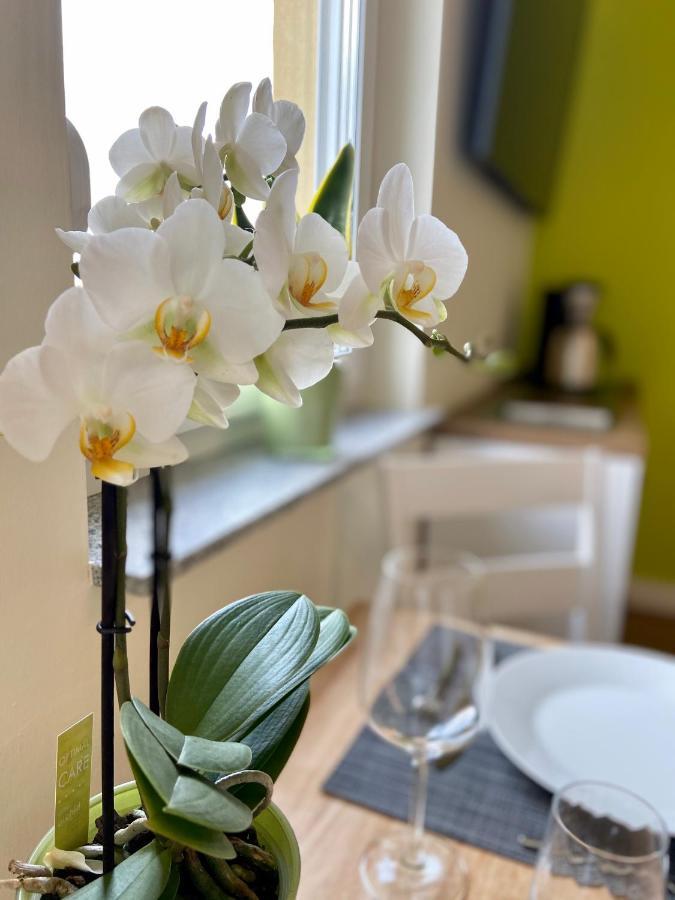 Roosartige Ferien - Ferienwohnung Im Hanswieschen - Oberwesel Bacharach Langscheid  Buitenkant foto