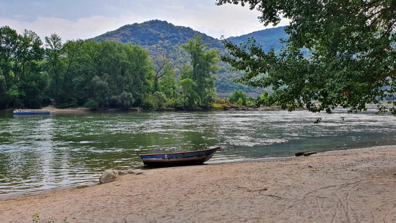 Roosartige Ferien - Ferienwohnung Im Hanswieschen - Oberwesel Bacharach Langscheid  Buitenkant foto