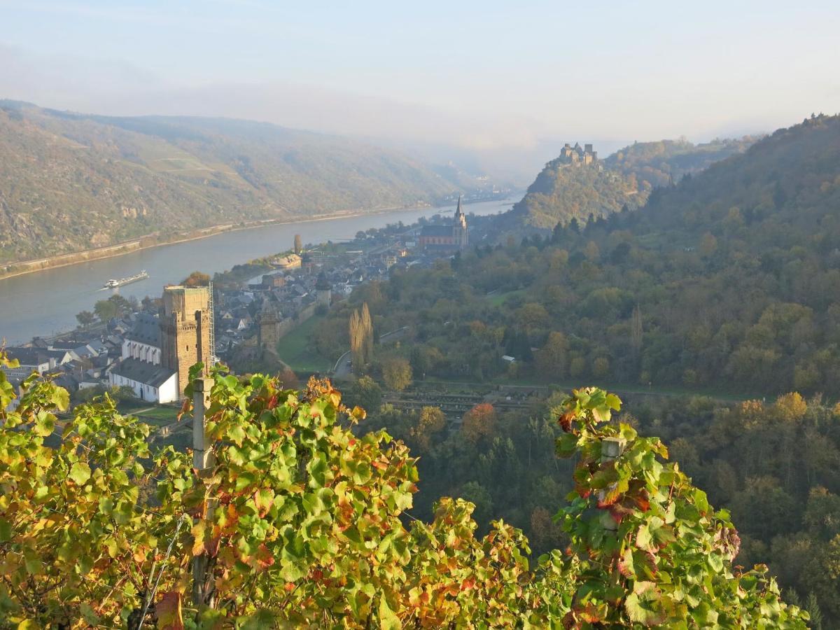 Roosartige Ferien - Ferienwohnung Im Hanswieschen - Oberwesel Bacharach Langscheid  Buitenkant foto